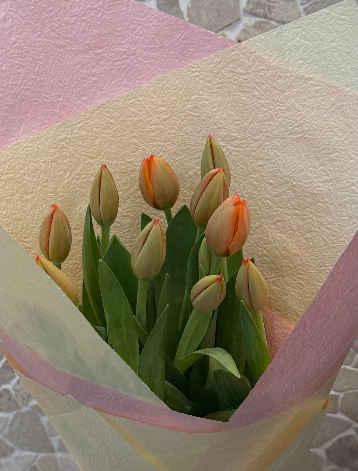 Tulip Bouquet